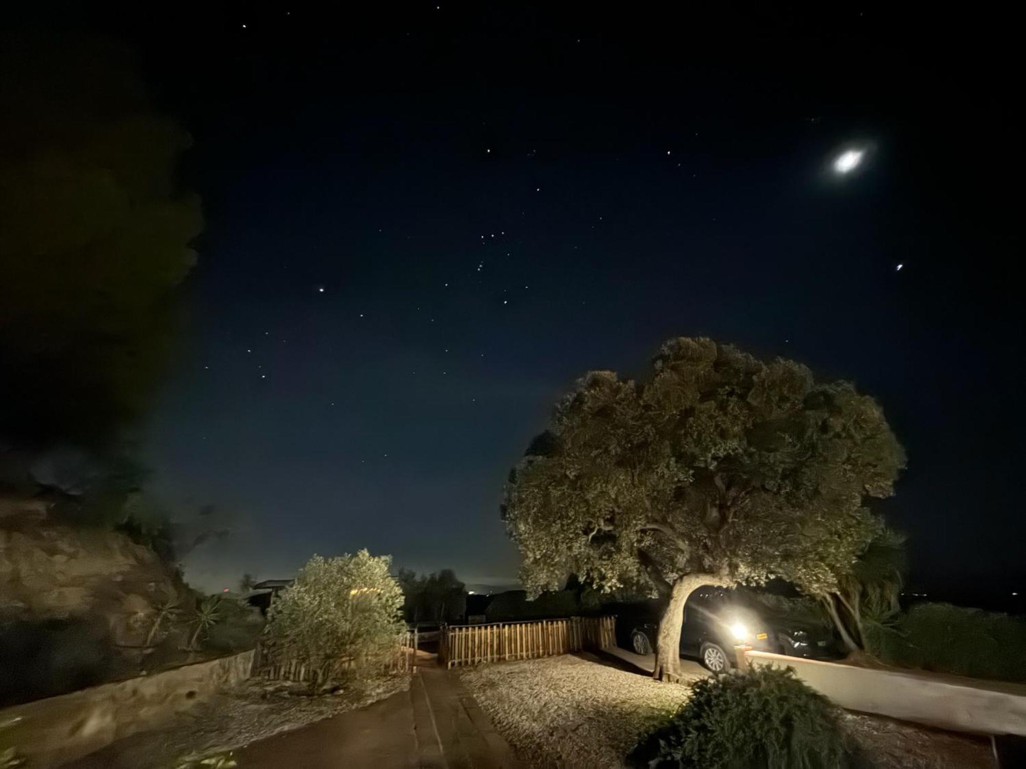 Finca El Sueno Andaluz วิญานูเอวา เด ลา กอนเซปซิออน ภายนอก รูปภาพ