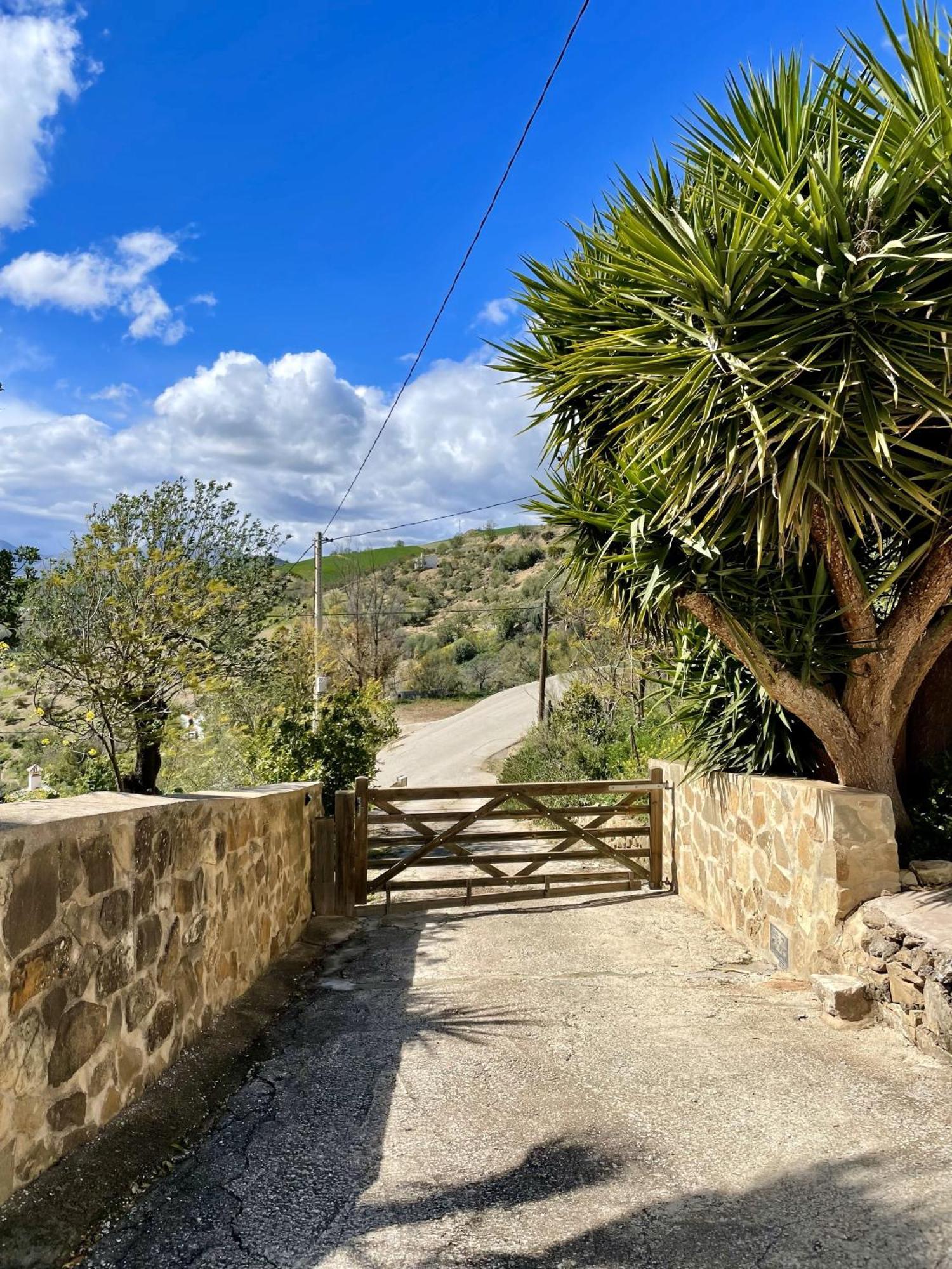 Finca El Sueno Andaluz วิญานูเอวา เด ลา กอนเซปซิออน ภายนอก รูปภาพ