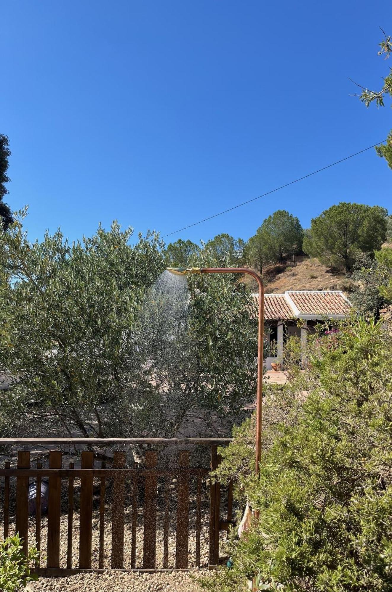 Finca El Sueno Andaluz วิญานูเอวา เด ลา กอนเซปซิออน ภายนอก รูปภาพ