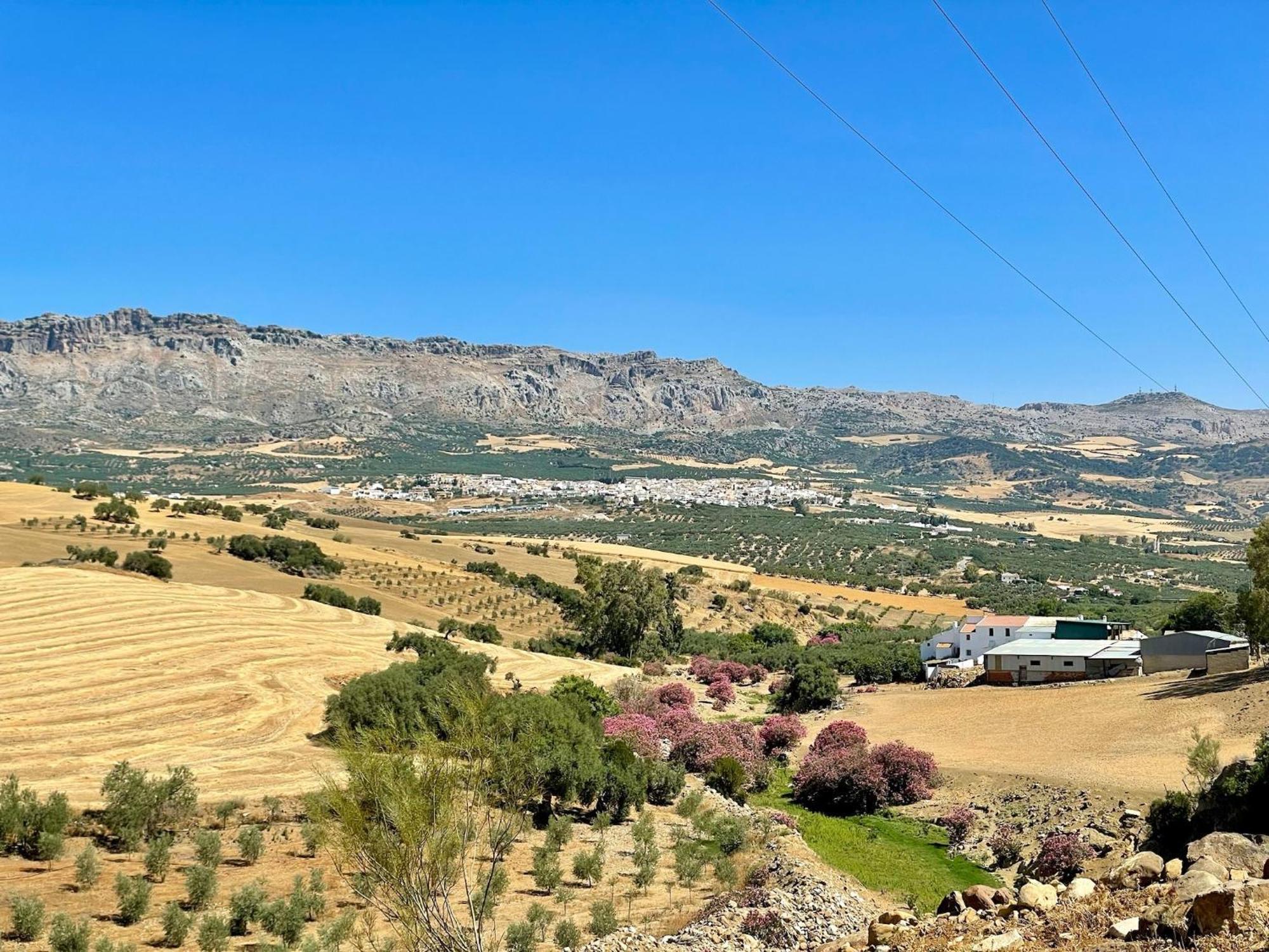 Finca El Sueno Andaluz วิญานูเอวา เด ลา กอนเซปซิออน ภายนอก รูปภาพ