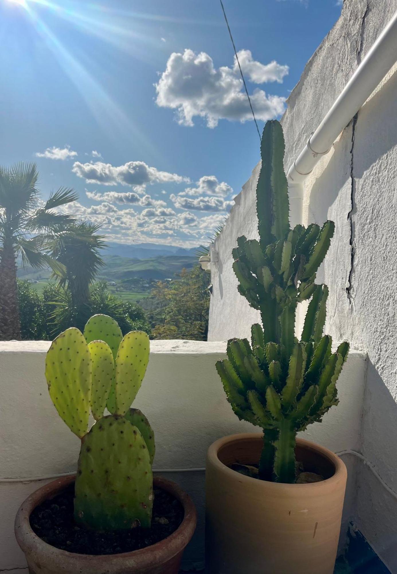Finca El Sueno Andaluz วิญานูเอวา เด ลา กอนเซปซิออน ภายนอก รูปภาพ