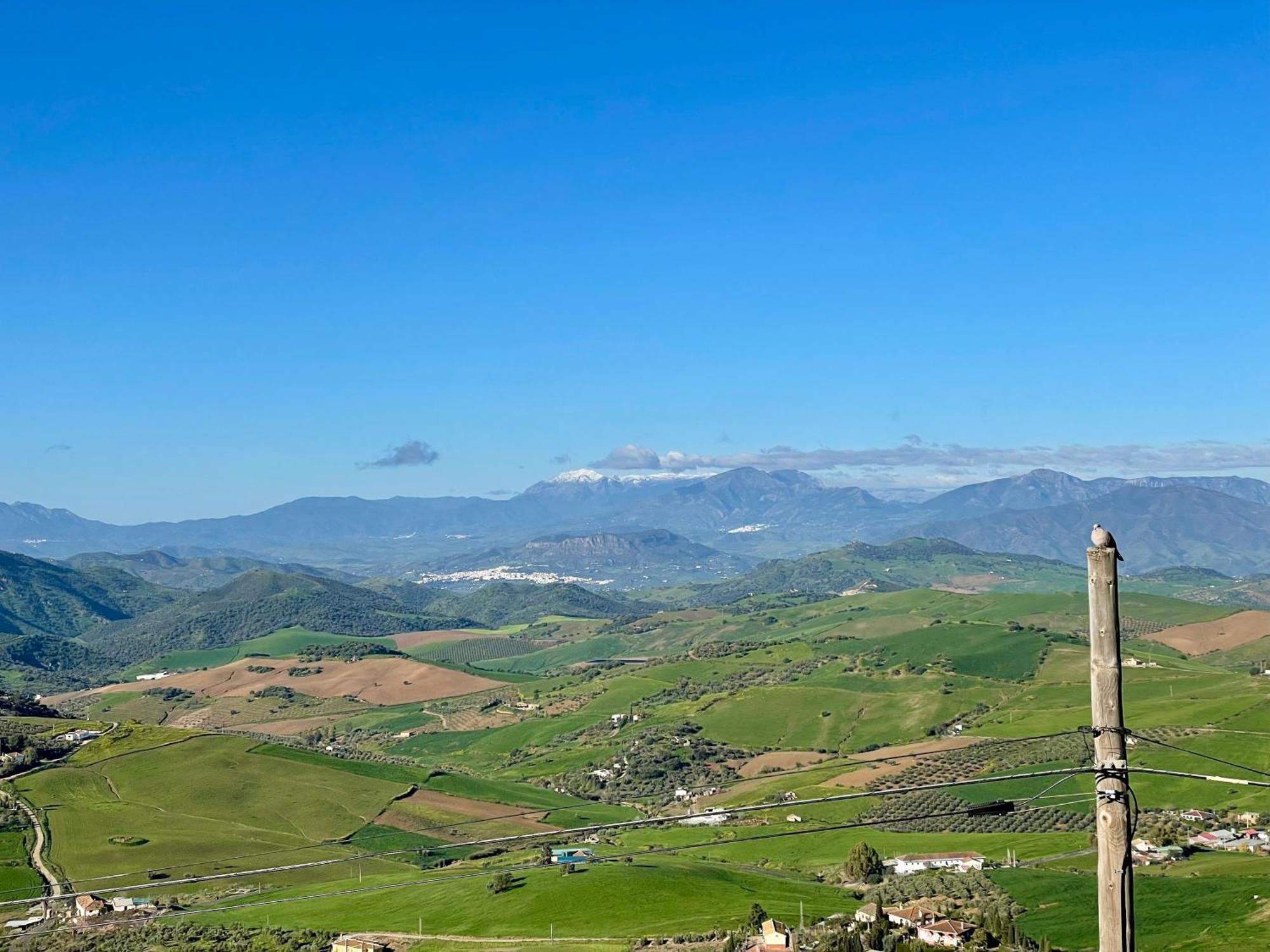 Finca El Sueno Andaluz วิญานูเอวา เด ลา กอนเซปซิออน ภายนอก รูปภาพ